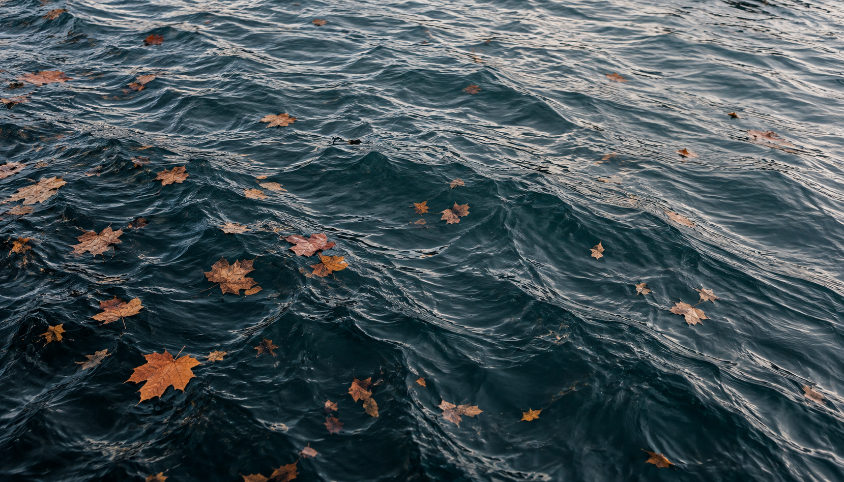 autumn water representing harvest